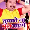 Sanjeet Singh - Tumko Na Bhool Payenge - Single